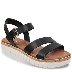 dsw bogo
